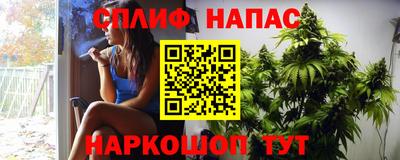 дживик Тара