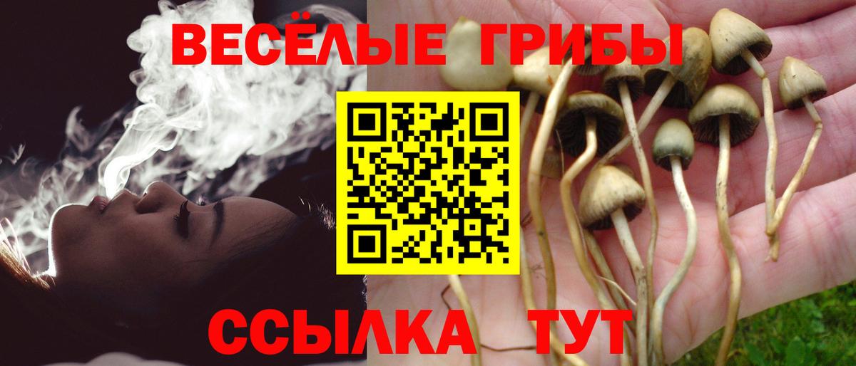 Галлюциногенные грибы Psilocybine cubensis  Галлюциногенные грибы Psilocybe  Вход с VPN  Печора 